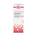 Ginkgo biloba D4 DHU Dilution, 20 ml Lösung