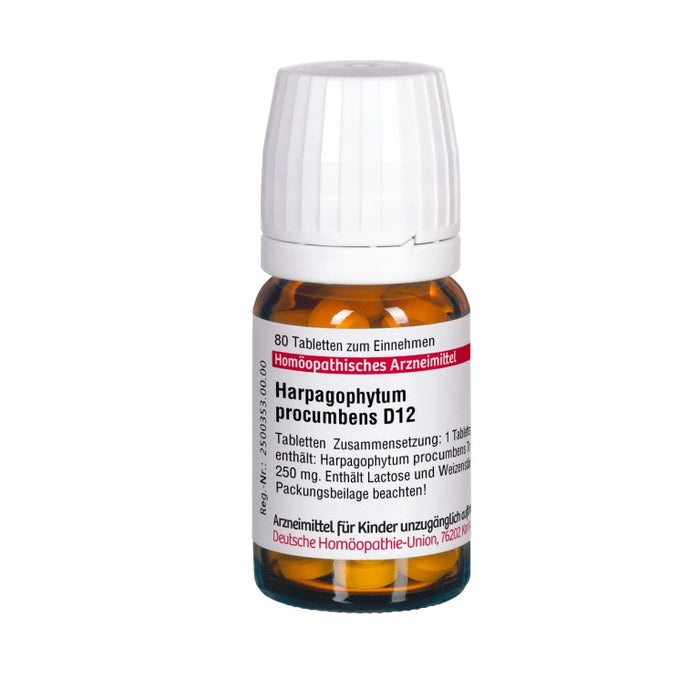 Harpagophytum procumbens D12 DHU Tabletten, 80 St. Tabletten