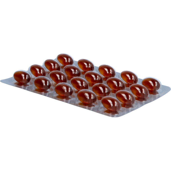 ALSITAN Lecithin Kapseln, 60 pcs. Capsules