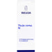 WELEDA Thuja comp. N Mischung bei Harnwegsinfekten, 20 g Pulver