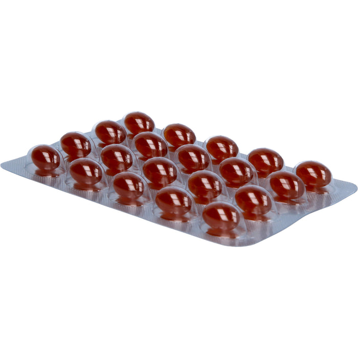 Twardy Lecithin-Kapseln, 60 pc Capsules