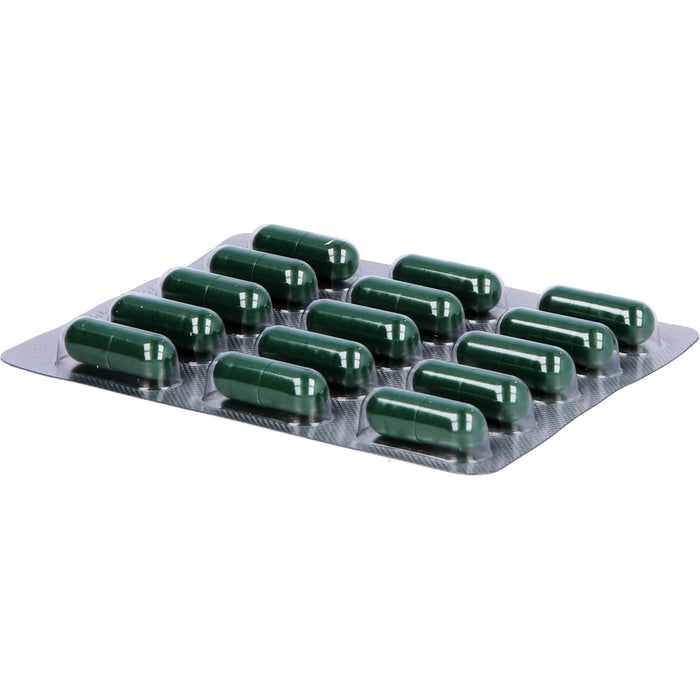 Menoflavon 40 mg Kapseln für Wohlbefinden in den Wechseljahren, 30 St. Kapseln