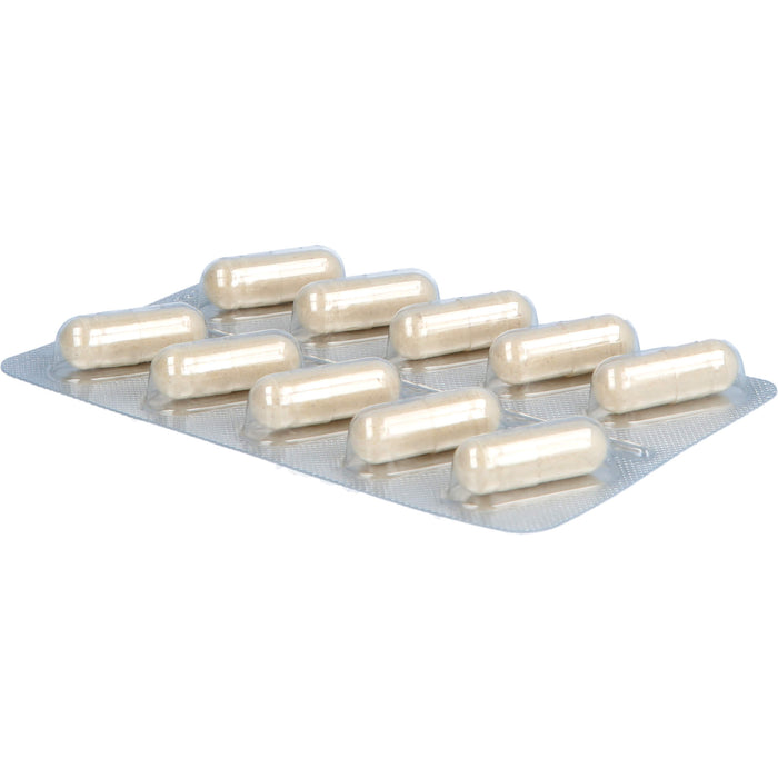 Enzymatin Kapseln, 120 pc Capsules