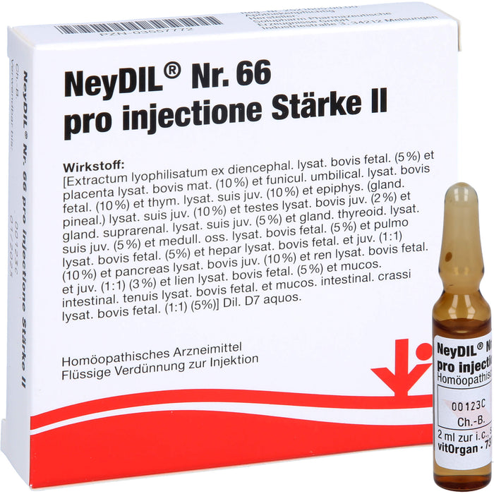 NeyDil Nr. 66 pro injectione St. II Amp., 5 ml Solution