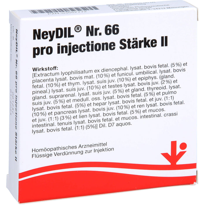 NeyDil Nr. 66 pro injectione St. II Amp., 5 ml Solution