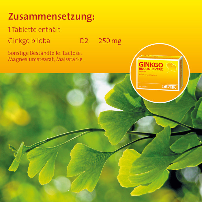 Ginkgo biloba Hevert, 300 pcs. Tablets