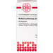 DHU Acidum sulfuricum D12 Streukügelchen, 10 g Globuli