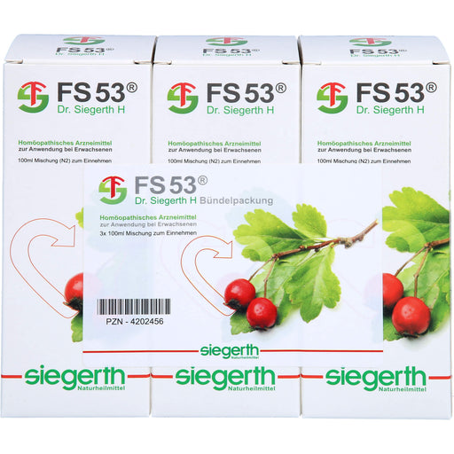 FS 53 Dr. Siegerth H flüssig, 3X100 ml FLU