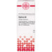 Baptisia D6 DHU Dilution, 20 ml Lösung
