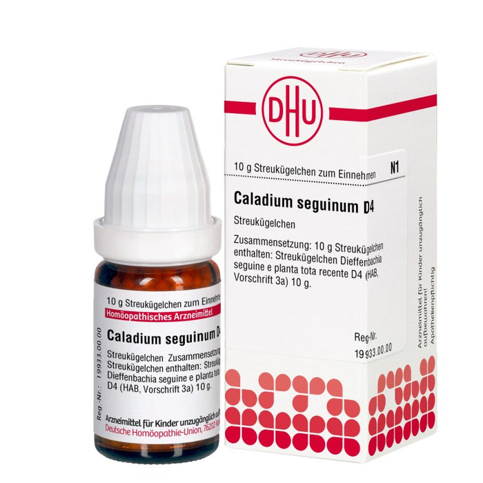Caladium seguinum D4 DHU Globuli, 10 g Globules