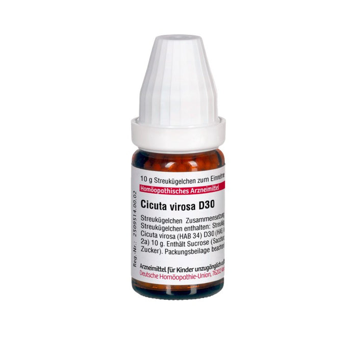 Cicuta virosa D30 DHU Globuli, 10 g Globules