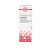 Cresolum D6 DHU Dilution, 20 ml Lösung