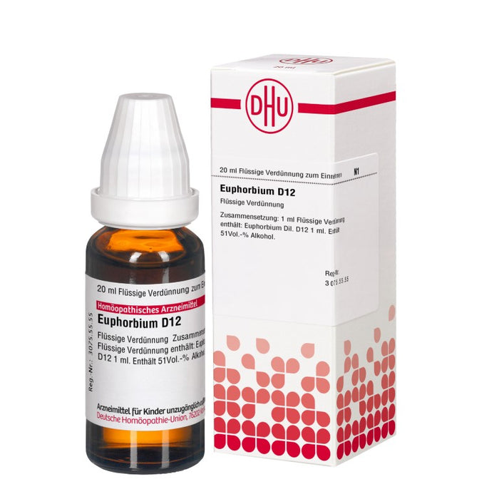 DHU Euphorbium D 12 flüssige Verdünnung, 20 ml Solution