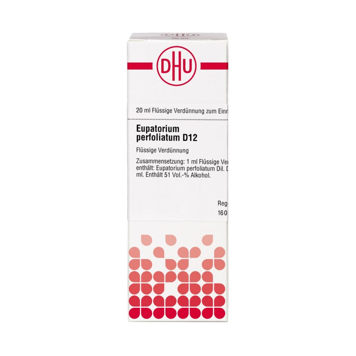 DHU Eupatorium perfoliatum D12 Dilution, 20 ml Lösung