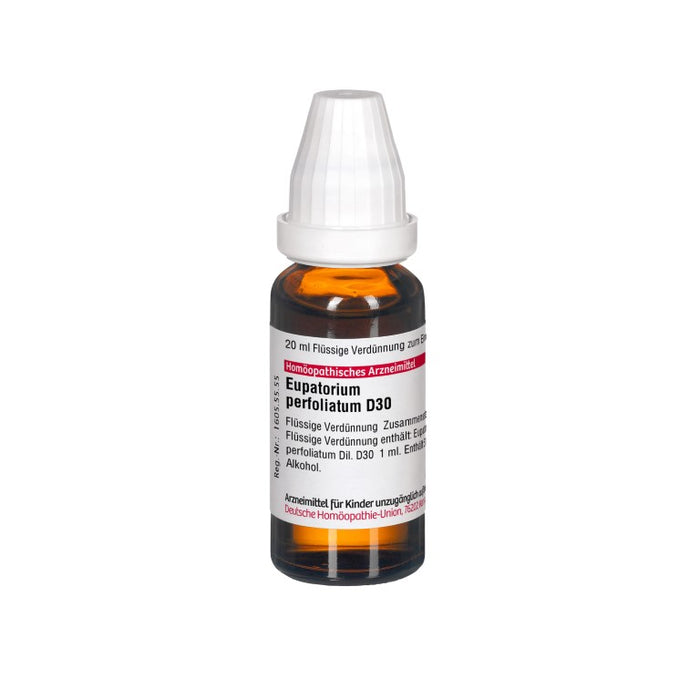 Eupatorium perfoliatum D30 DHU Dilution, 20 ml Solution