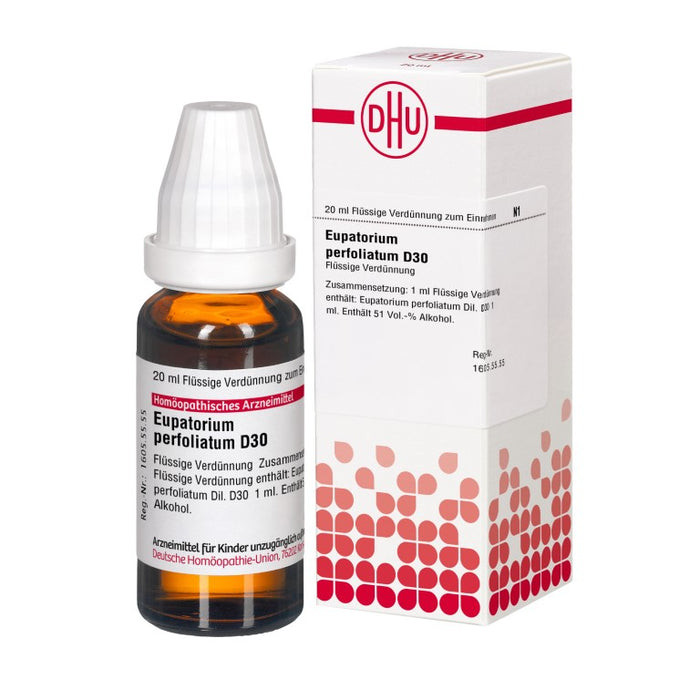 Eupatorium perfoliatum D30 DHU Dilution, 20 ml Solution