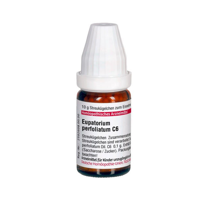 Eupatorium perfoliatum C6 DHU Globuli, 10 g Scatter