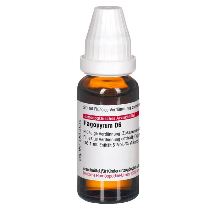 Fagopyrum D6 DHU Dilution, 20 ml Solution