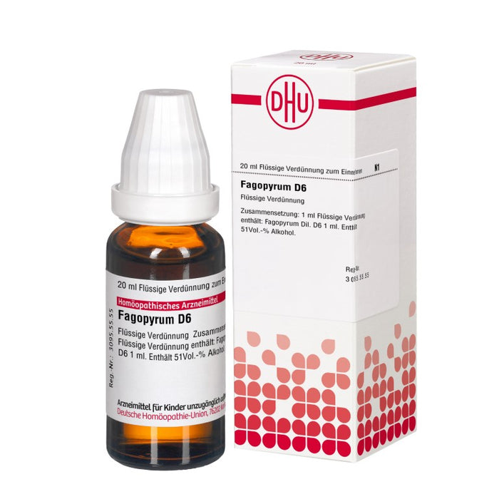 Fagopyrum D6 DHU Dilution, 20 ml Solution