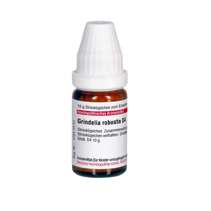 Grindelia robusta D4 DHU Globuli, 10 g Globules