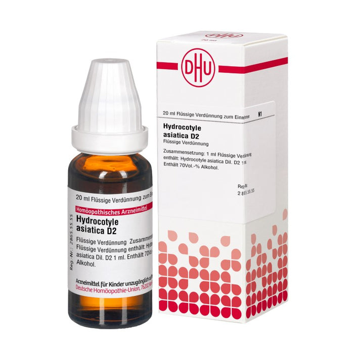 Hydrocotyle asiatica D2 DHU Dilution, 20 ml Lösung