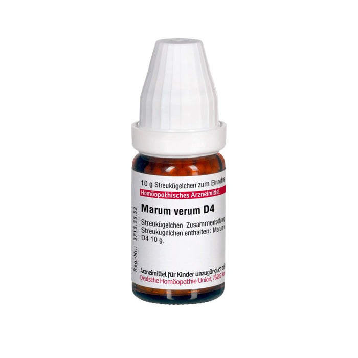 Marum verum D4 DHU Globuli, 10 g Globules