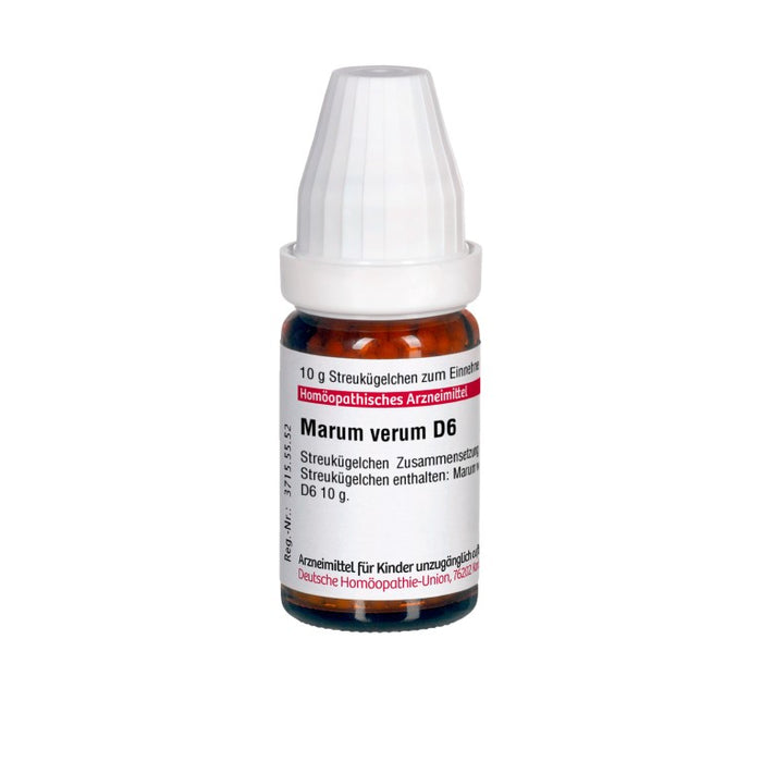 Marum verum D6 DHU Globuli, 10 g Globules