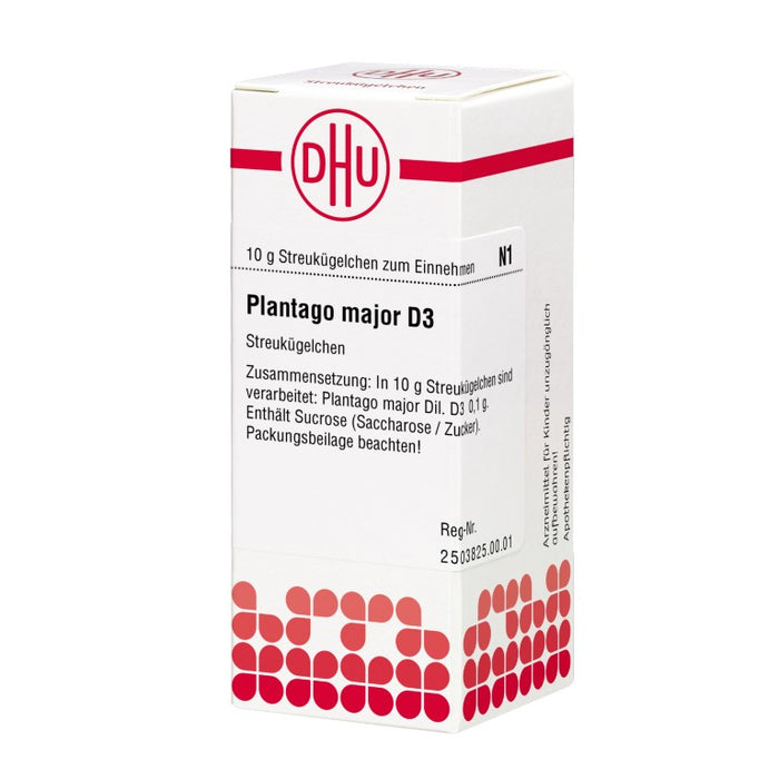 DHU Plantago major D 3 Streukügelchen, 10 g Globuli