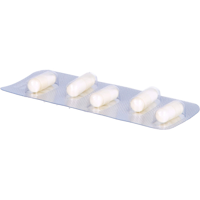 SANUM-KEHLBECK Pefrakehl D4 Kapseln, 20 pc Capsules