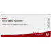 Iscucin® Abietis Potenzreihe I, 10X1 ml AMP