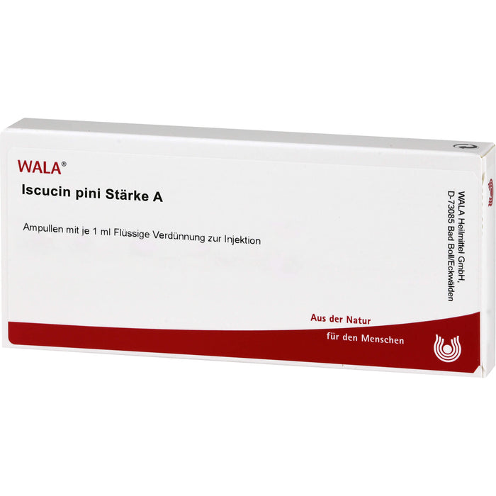 WALA Iscucin Pini Stärke A flüssige Verdünnung, 10 St. Ampullen