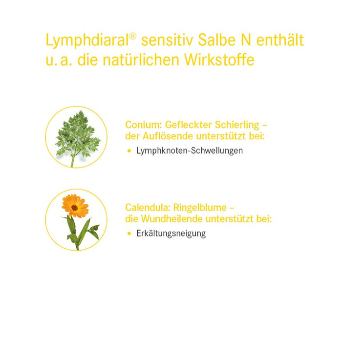 Lymphdiaral sensitiv Salbe N, 100 g Ointment