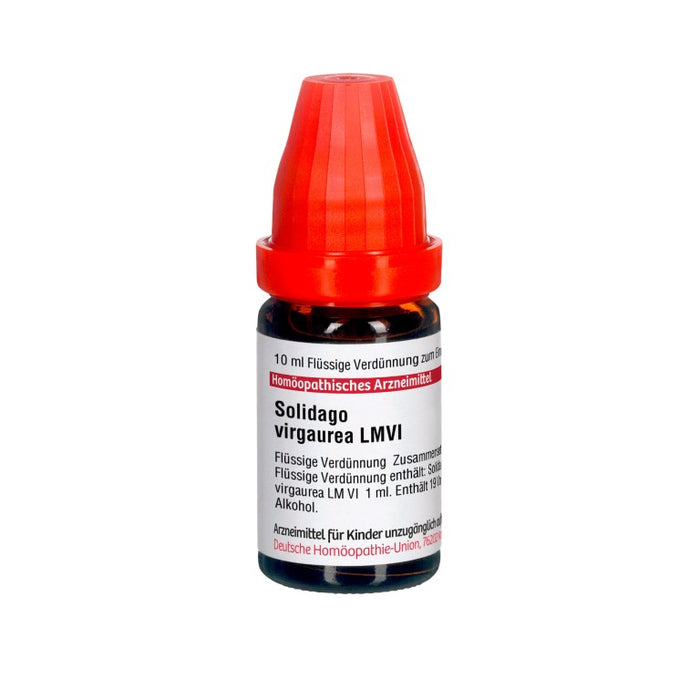 Solidago virgaurea LM VI DHU Dilution, 10 ml Solution