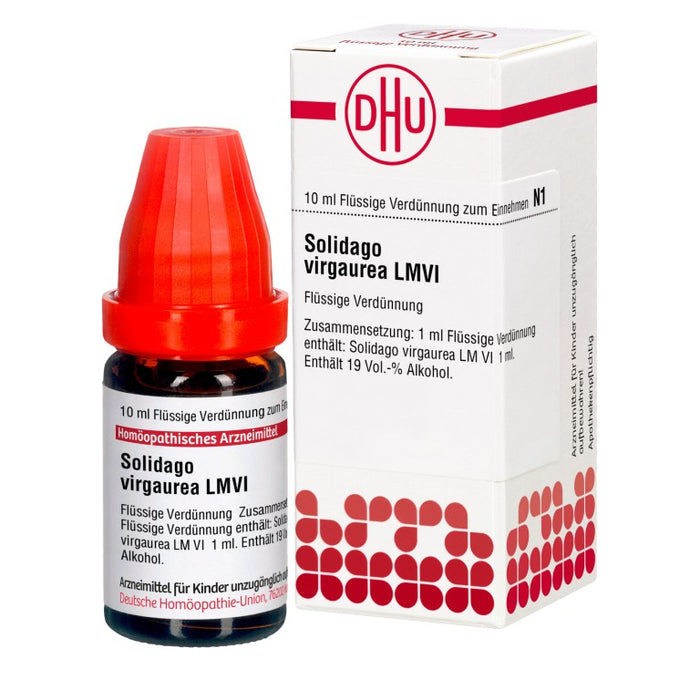 Solidago virgaurea LM VI DHU Dilution, 10 ml Solution