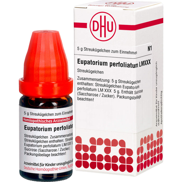 Eupatorium perfoliatum LM XXX DHU Globuli, 5 g Globules