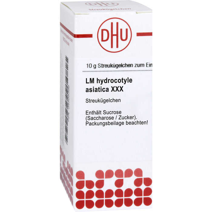 Hydrocotyle asiatica LM XXX DHU Globuli, 5 g Globules