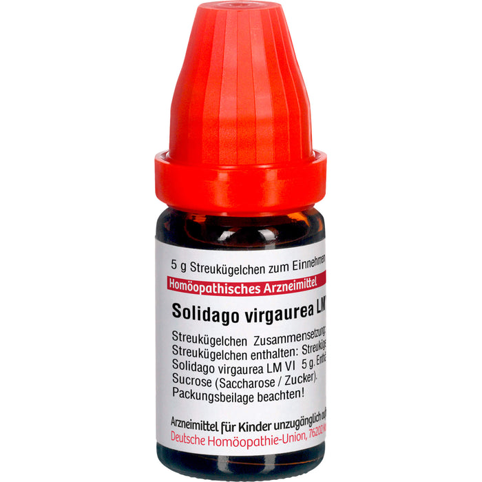 Solidago virgaurea LM VI DHU Globuli, 5 g Globules