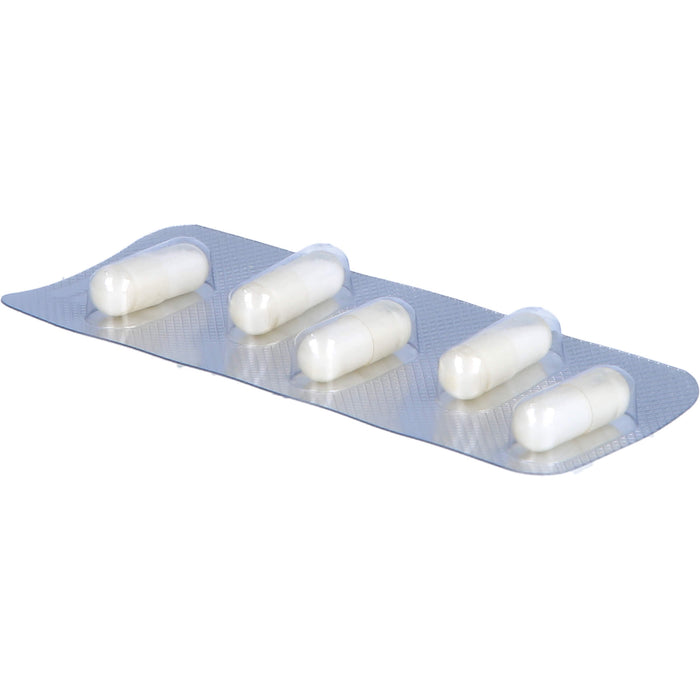 SANUM-KEHLBECK Pinikehl D4 Hartkapseln, 20 pcs. Capsules