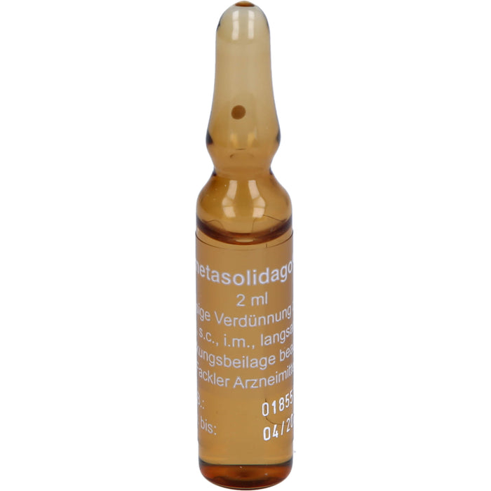 metasolidago S flüssige Verdünnung, 10 ml Solution