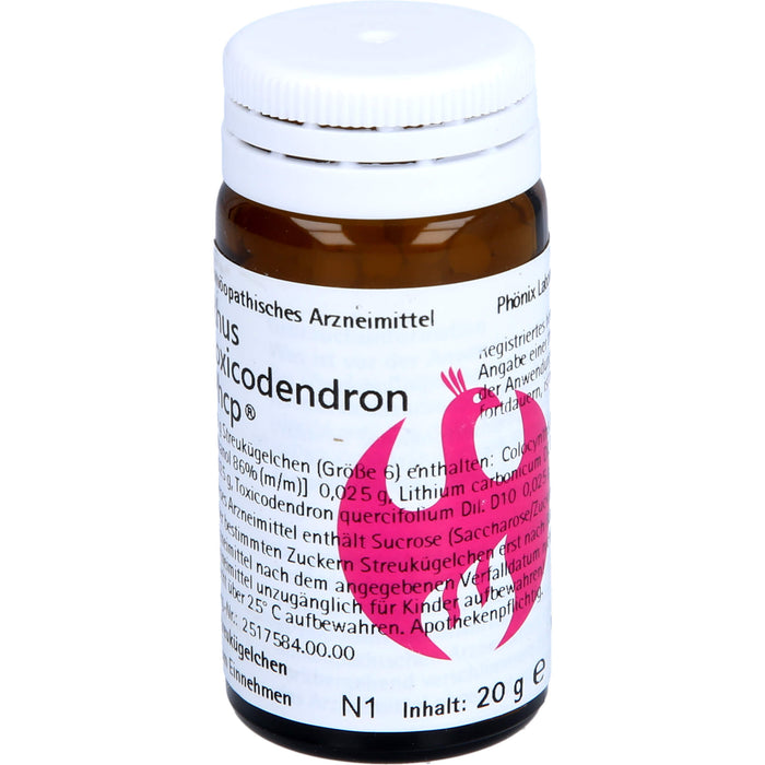 PHÖNIX Rhus toxicodendron Phcp Globuli, 20 g Globuli