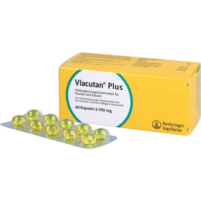 Viacutan plus vet, 40 pc Capsules