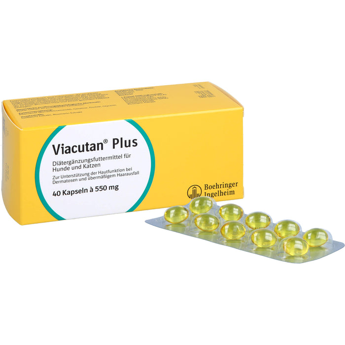 Viacutan plus vet, 40 pc Capsules