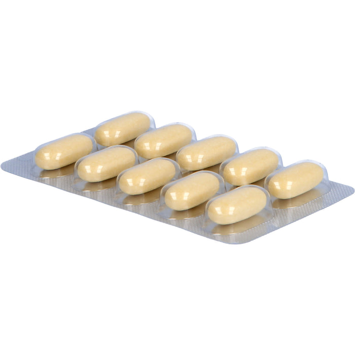 Natu-hepa® 600 mg, überzogene Tabletten, 20 St UTA