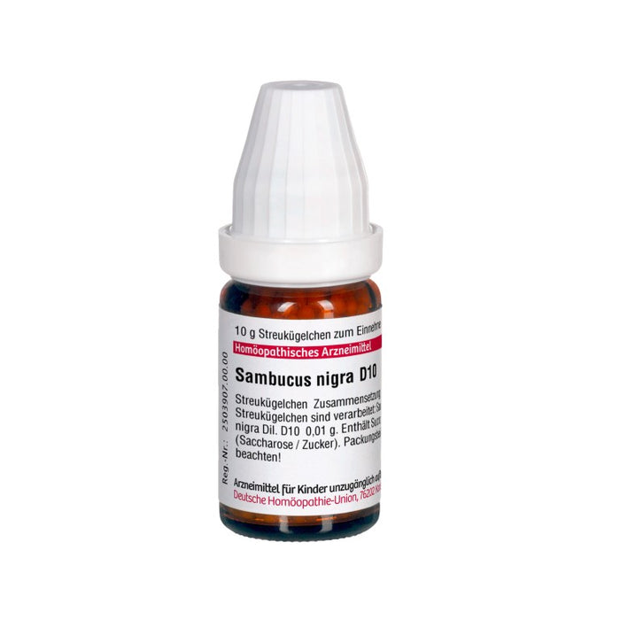 Sambucus nigra D10 DHU Globuli, 10 g Globules