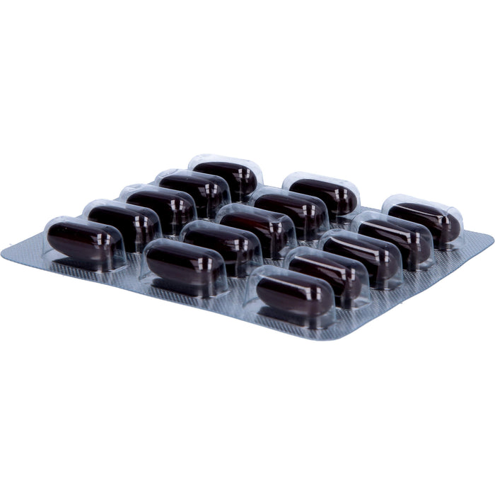 ASLAN Life Compound M Kapseln zur täglichen Versorgung des Mannes, 60 pcs. Capsules