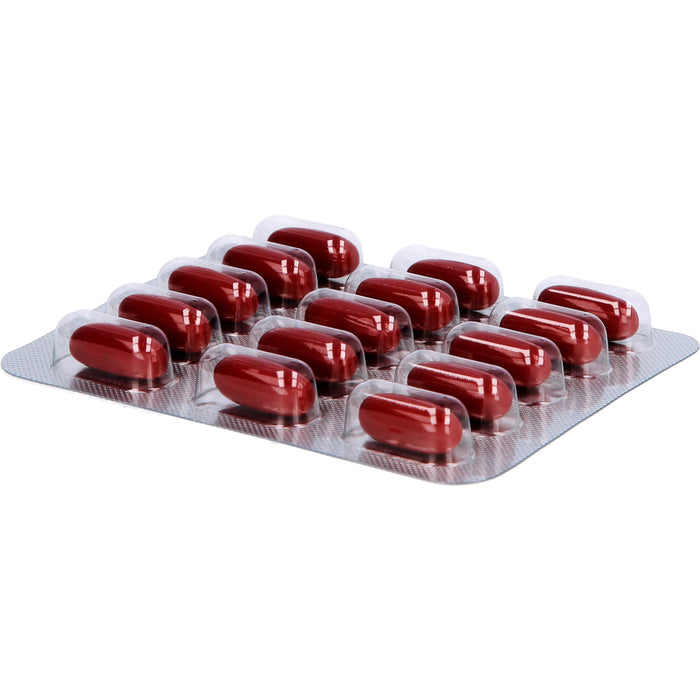 ASLAN LIFE COMPOUND F, 60 pcs. Capsules