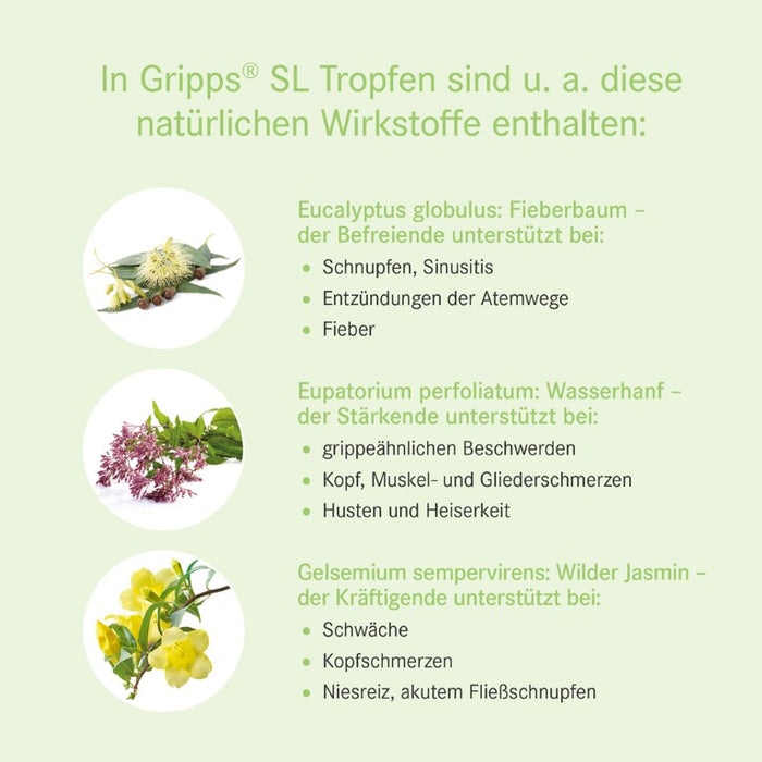 Gripps SL Tropfen bei Erkältungskrankheiten, 50 ml Solution