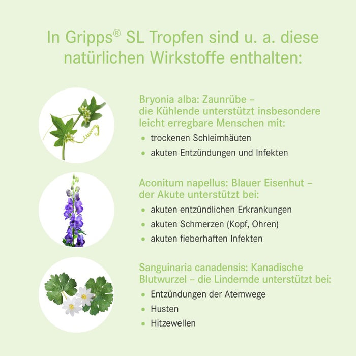 Gripps SL Tropfen bei Erkältungskrankheiten, 50 ml Solution
