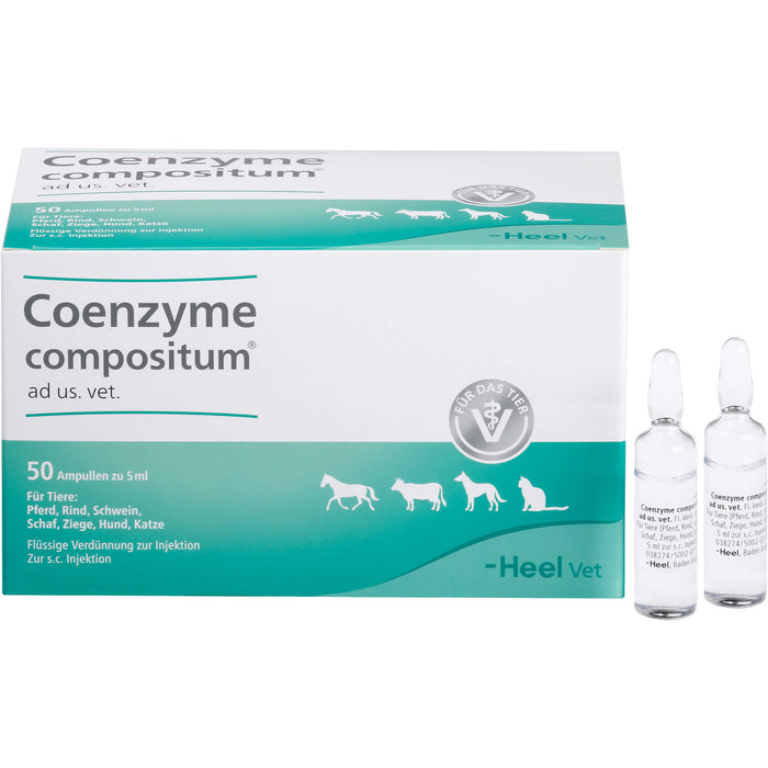 Coenzyme compositum ad us. vet. flüssige Verdünnung für Pferd, Rind, Schwein, Schaf, Ziege, Hund und Katze, 50 ml Solution