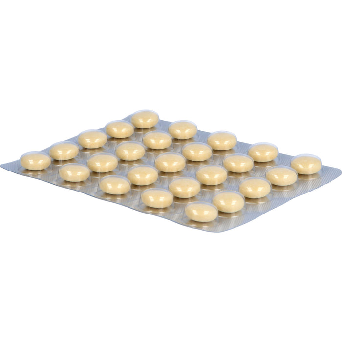 Jarsin  300 mg, überzogene Tabletten, 100 pc Tablettes